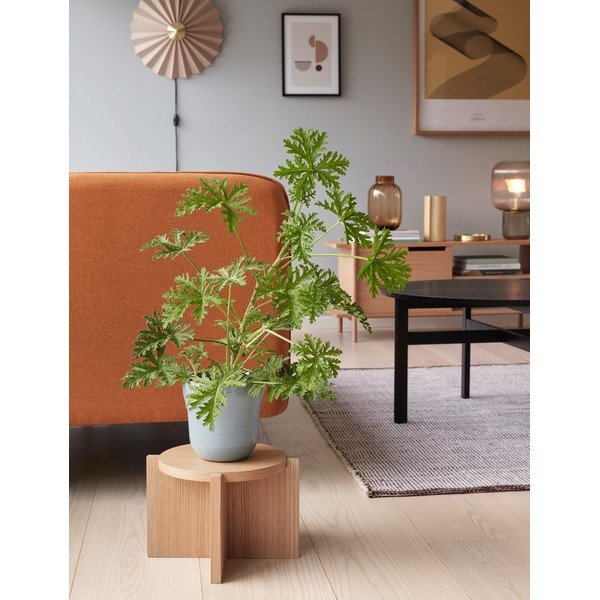 Beżowy kinkiet do kontaktu ø 48 cm Pliss – Hübsch-image-1