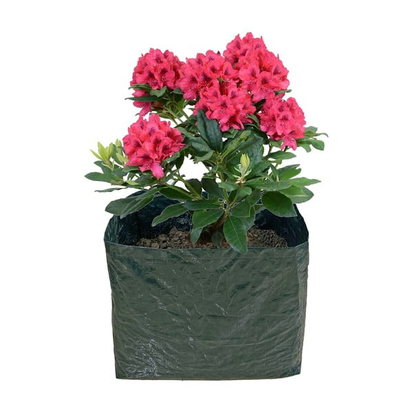 Podwyższona grządka – Garden Pleasure