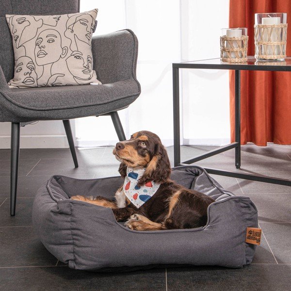 Niebieskie legowisko dla psów 50x55 cm – Love Story-image-1