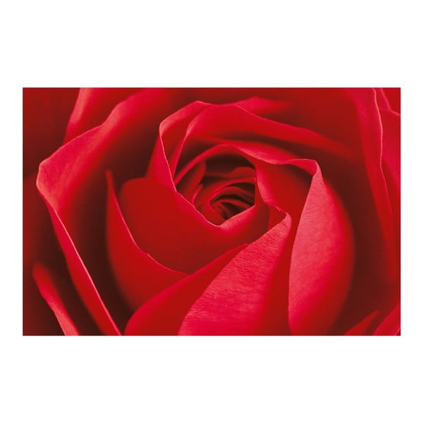 Plakat wielkoformatowy La Rose, 175x115 cm