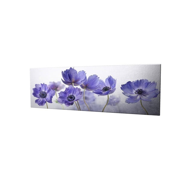 Obraz na płótnie Violet, 80x30 cm