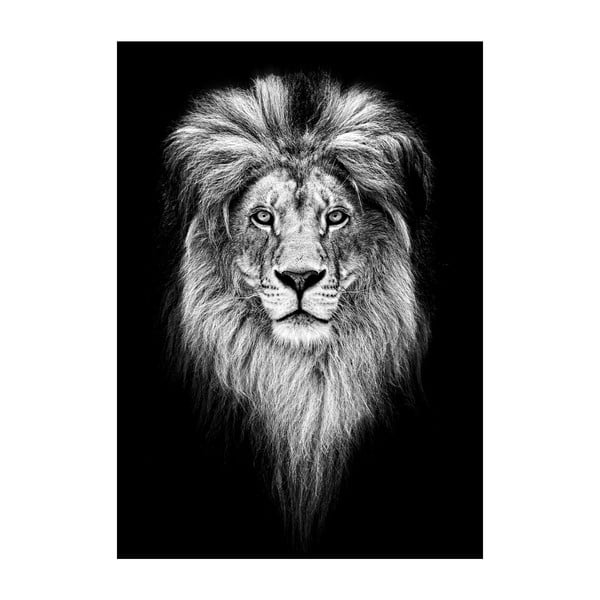 Plakat Imagioo King Of Jungle, 40x30 cm