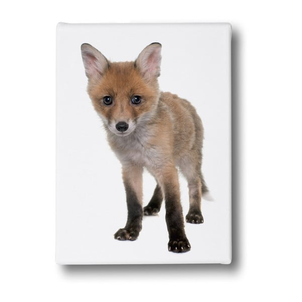 Obraz Mr. Little Fox Little Fox