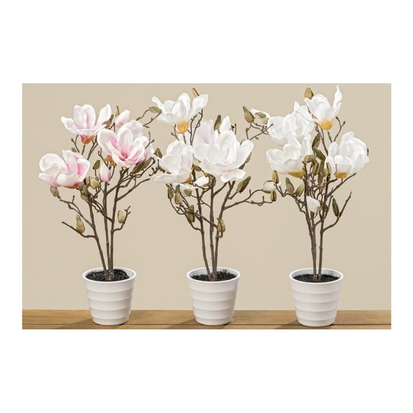 Zestaw 3 doniczek ze sztucznymi magnoliami Boltze, wys. 50 cm