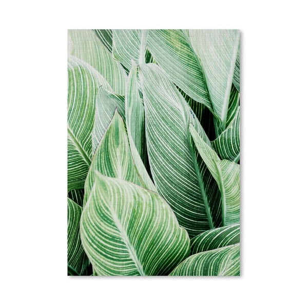 Plakat Tropical Leaves