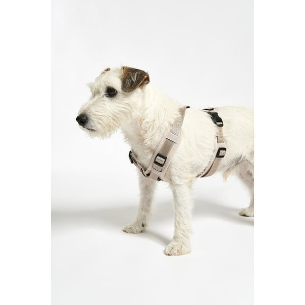 Beżowe szelki dla zwierząt w rozmiarze S długość 30 cm Modena Greige S – MiaCara-image-4