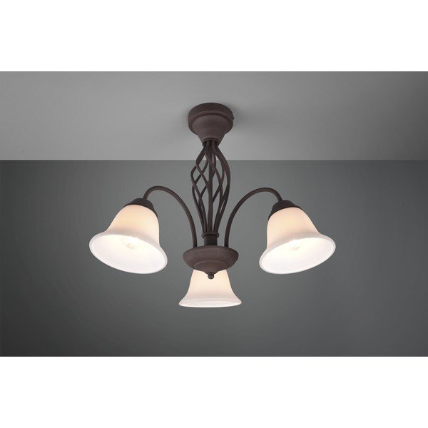 Ciemnobrązowa lampa sufitowa ze szklanym kloszem Rustica – Trio-image-1