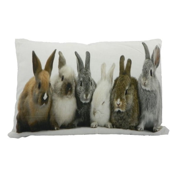 Poduszka Rabbits 50x35 cm