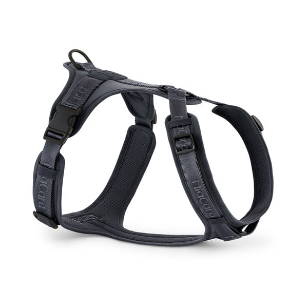 Ciemnoszare szelki dla zwierząt w rozmiarze L długość 42 cm Modena Asphalt L – MiaCara