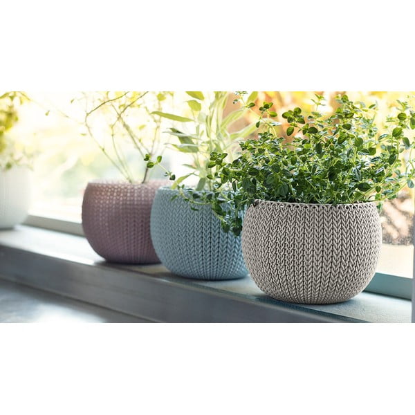 Plastikowe doniczki zestaw 3 szt. ø 15 cm Cozy – Keter-image-1