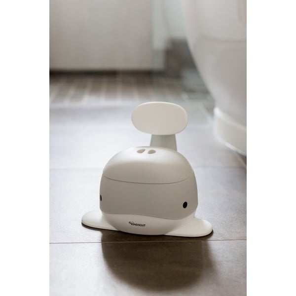 Szary nocnik – Kindsgut-image-1