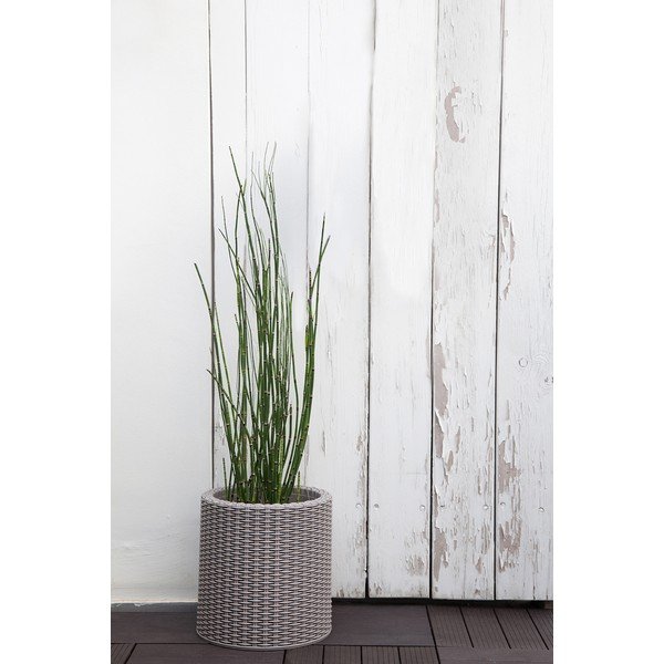 Plastikowa doniczka ø 28 cm Cylinder – Keter-image-1
