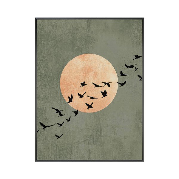 Obraz drukowany z ramą w zestawie 60x80 cm Midnight Flight – Styler