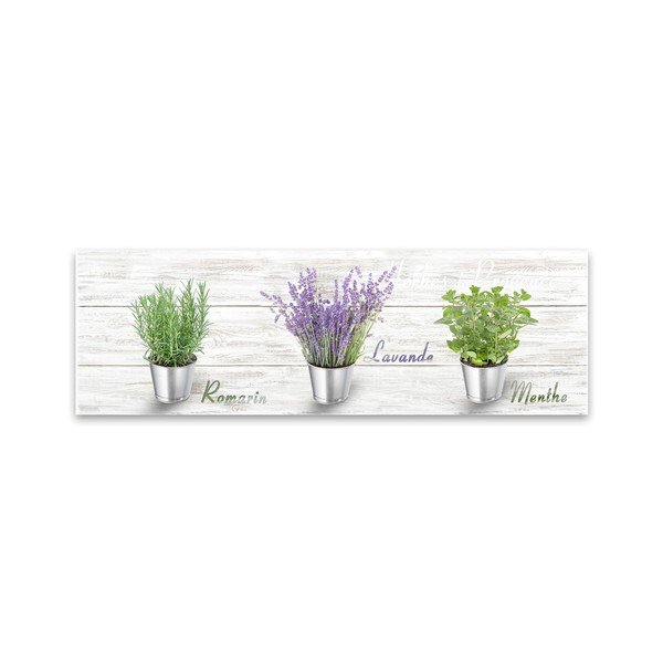 Obraz Styler Canvas Shabby Herbs, 27x75 cm