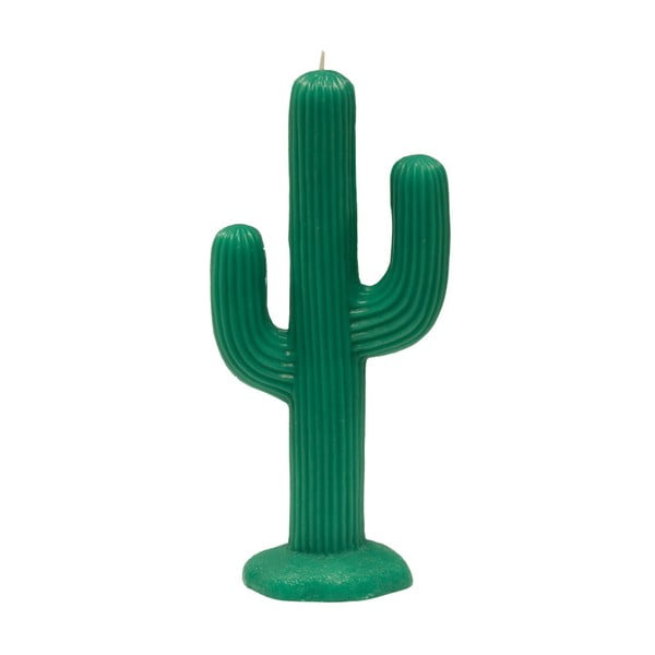 Zielona świeczka Fisura Cactus