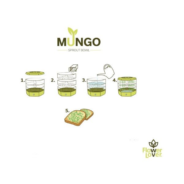 Plastikowa miska do kiełkowania ø 17 cm Mungo – Flower Lover-image-2