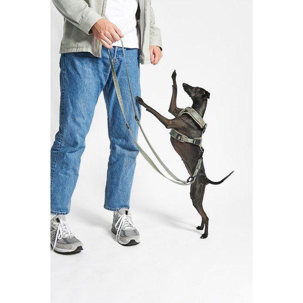 Zielone szelki dla zwierząt w rozmiarze XS długość 25 cm Modena Grolive XS – MiaCara-image-2