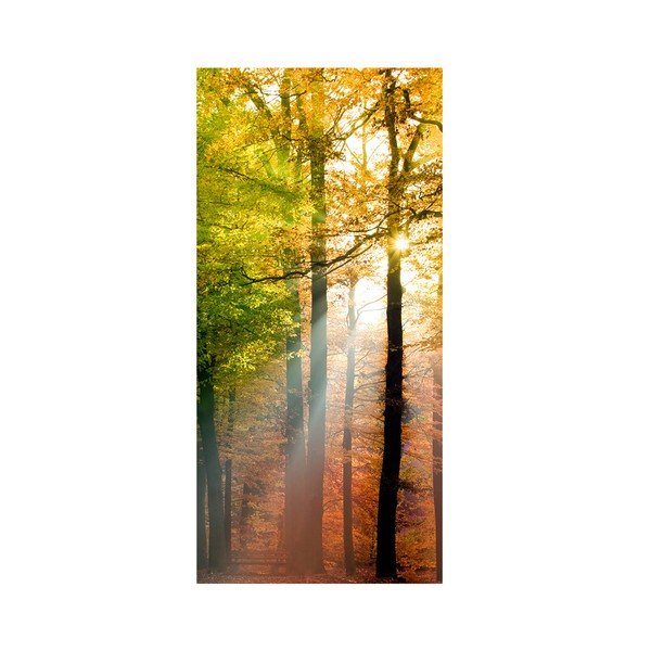 Tapeta wielkoformatowa Forest Lights-image-2
