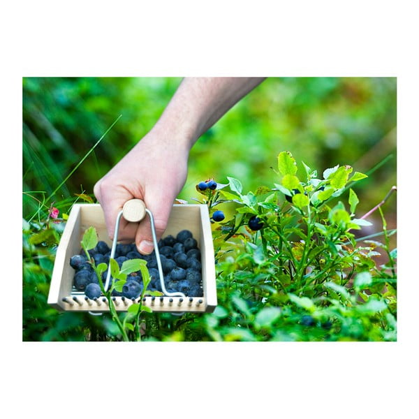Zbieraczka do jagód z drewna bukowego Esschert Design Pond-image-2