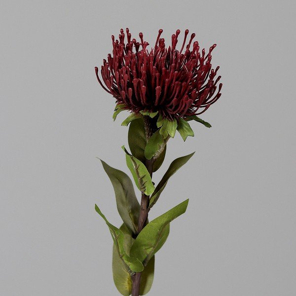 Sztuczny kwiat (wysokość 74 cm) Protea – Ego Dekor