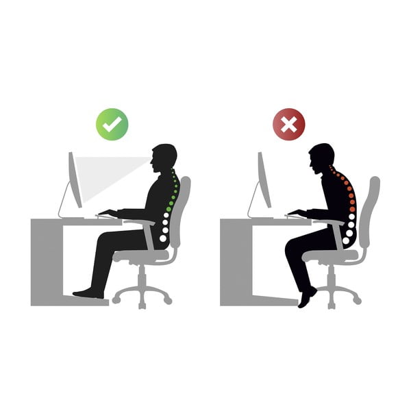 Pas na plecy L/XL – Maximex-image-4