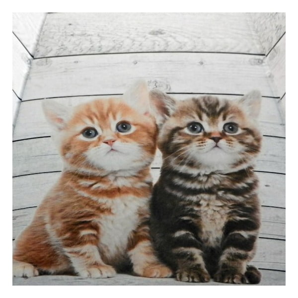 Parasol Scaffold Wood Kittens Red-image-1