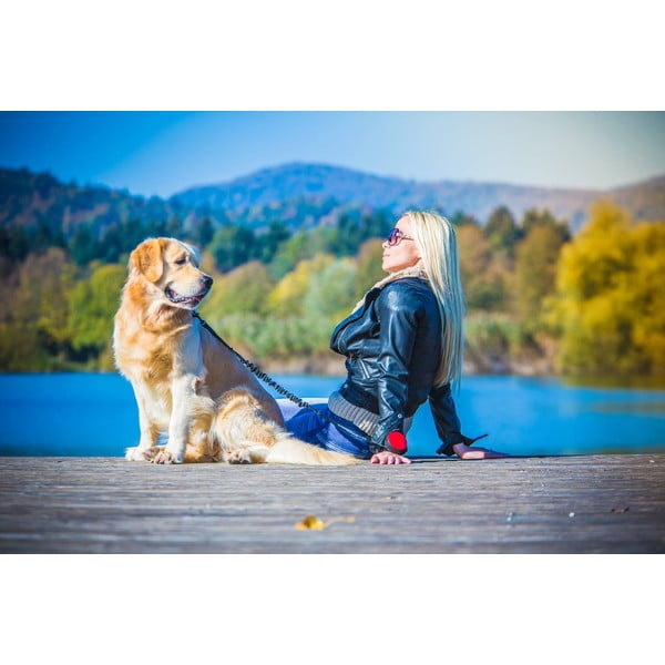 Zielona smycz w rozmiarze L 3 Neon – Lishinu-image-4