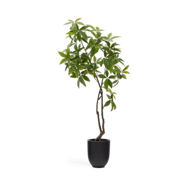 Sztuczna roślina (wysokość 180 cm) Pachira – Kave Home