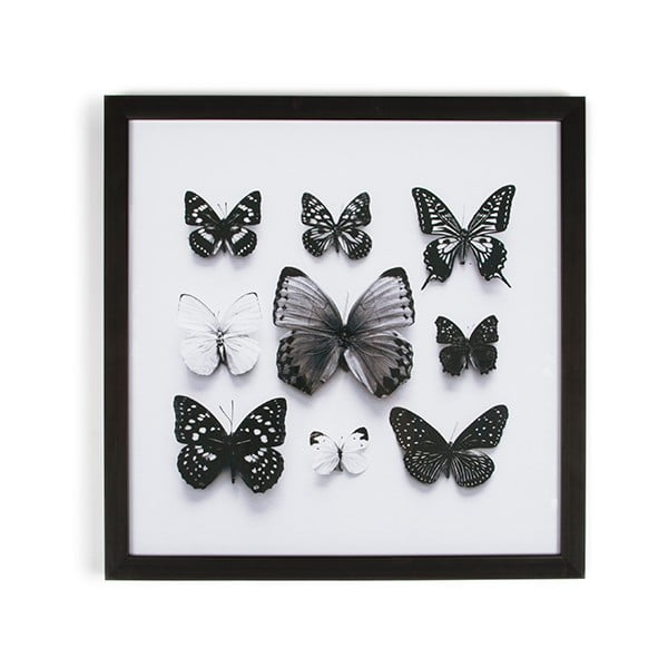 Obraz w ramie Graham & Brown Butterfly Studies, 50x50 cm