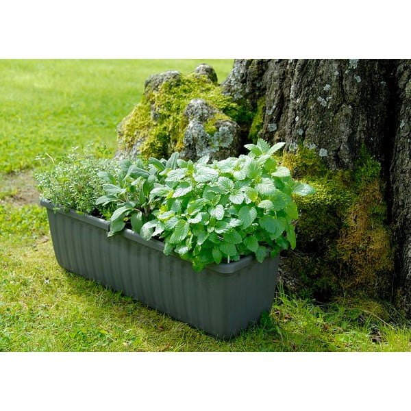 Antracytowa doniczka z systemem nawadniania Plastia SIesta, dł. 80 cm-image-1