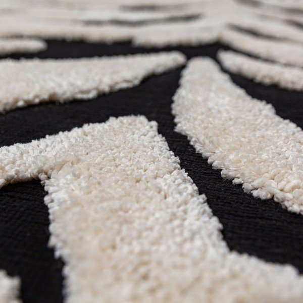 Czarno-biały dywan 160x230 cm Esra Zebra – Flair Rugs-image-2