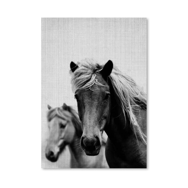 Plakat Wild Horses