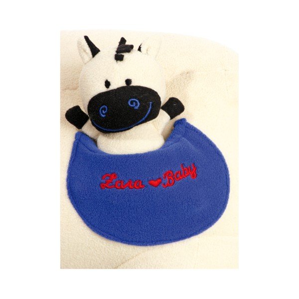 Zebra na biegunach Legler Moritz-image-2