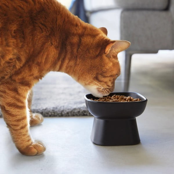 Ceramiczna miska dla czworonoga Tower – YAMAZAKI-image-1