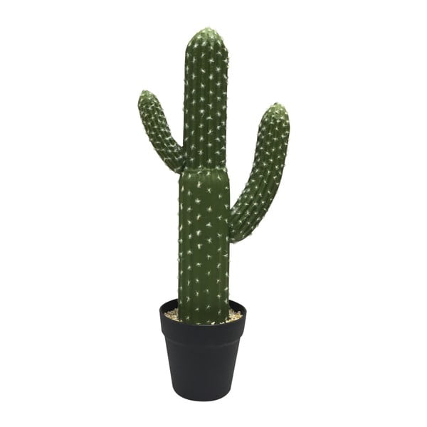 Kaktus dekoracyjny HouseVitamin® Party of the Plants Cactus, wysokość 57 cm