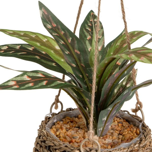 Sztuczna roślina (wysokość 25 cm) – Casa Selección-image-1