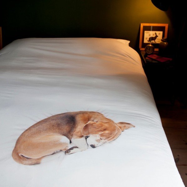 Bawełniana pościel jednoosobowa Snurk Bob 140x200 cm-image-2