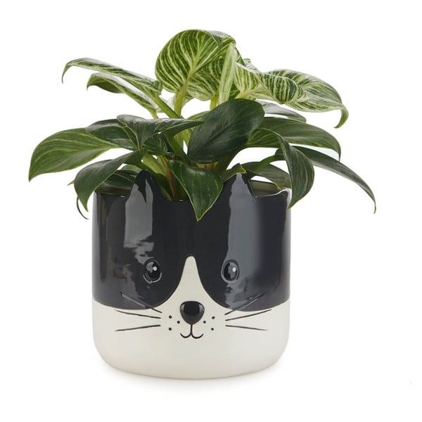 Ceramiczna doniczka ø 13,5 cm Kitty – Balvi-image-1