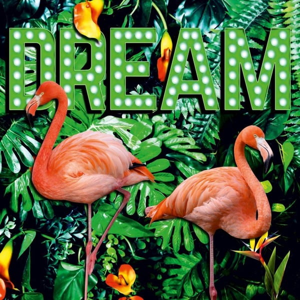 Obraz NEON Dream, 50x50 cm