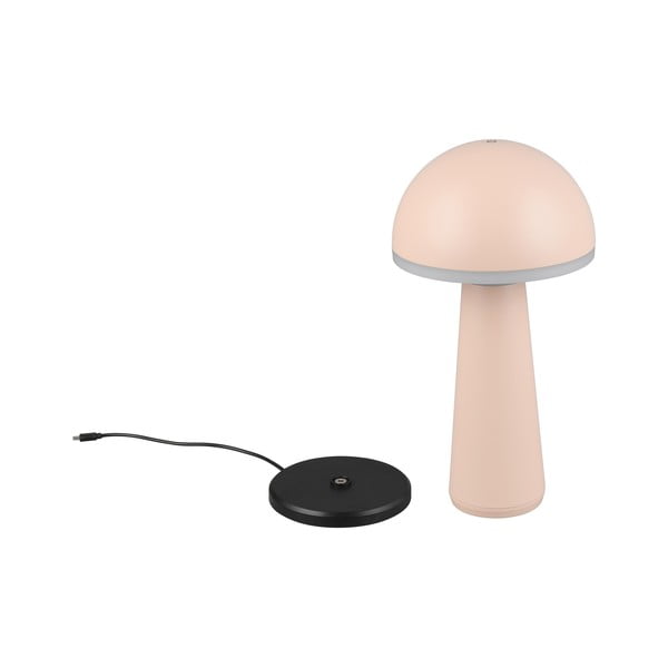 Lampa zewnętrzna ze ściemniaczem ø 16 cm Fungo – Trio-image-1