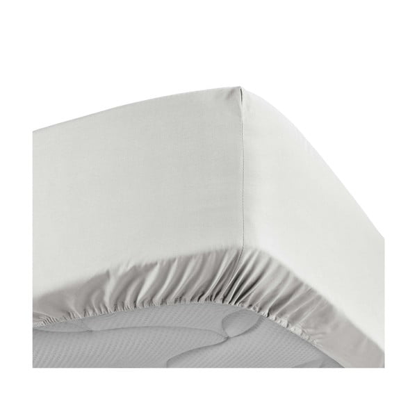 Białe prześcieradło z perkalu bawełnianego z gumką 160x200 cm Percaline – douceur d'intérieur-image-3