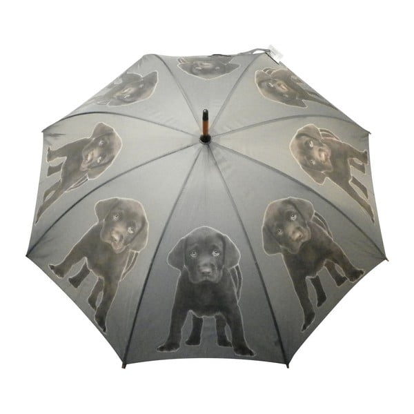 Parasol Mars&More Labrador Chocolate-image-1