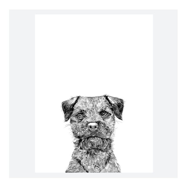 Plakat Baxter The Border Terrier, 30x40 cm