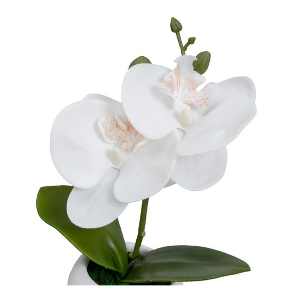 Sztuczne rośliny zestaw 3 szt. (wysokość 15 cm) Orchid – Casa Selección-image-1