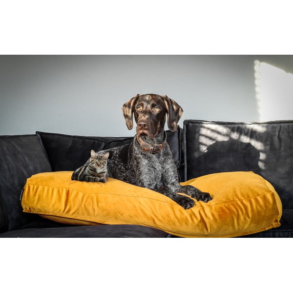 Żółty materac dla psów 80x55 cm – Madison-image-1