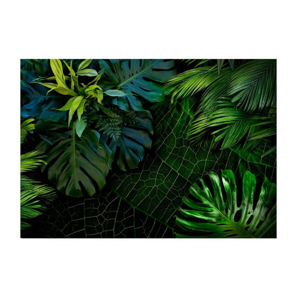 Tapeta wielkoformatowa Bimago Dark Jungle, 400x280 cm