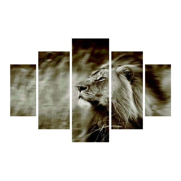 Obraz wieloczęściowy King Of The Animals, 92x56 cm