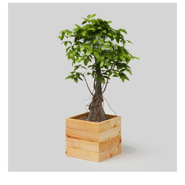 Naturalna doniczka Only Wood Flower Box