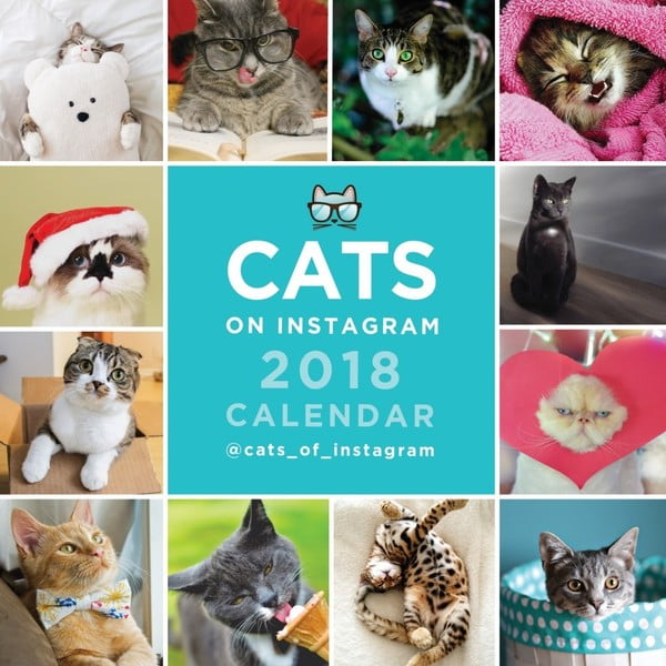 Mały kalendarz wiszący 2018 Portico Designs Cats On Instagram