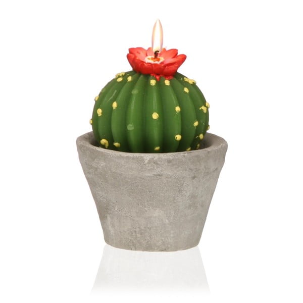 Świeczka dekoracyjna w kształcie kaktusa Versa Cactus Emia